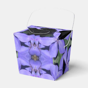 Ballotins Cé sarine