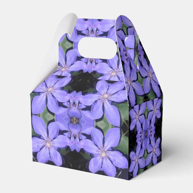 Ballotins Cé sarine (Arrière)