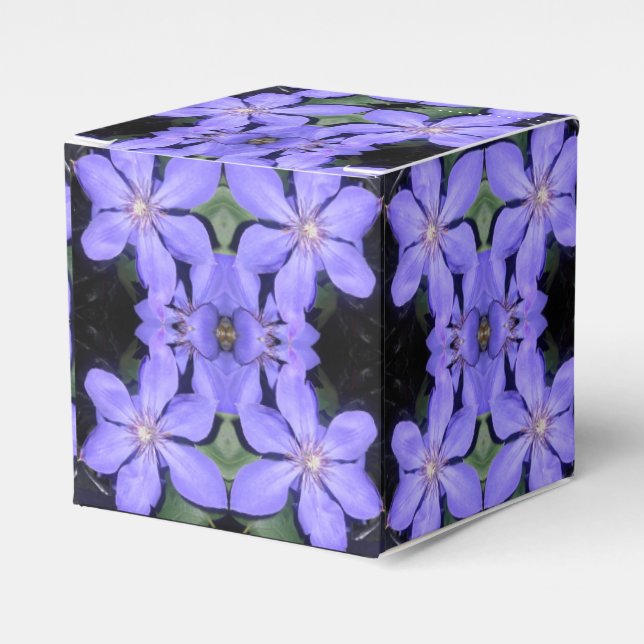 Ballotins Cé sarine (Verso)