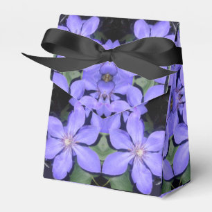 Ballotins Cé sarine