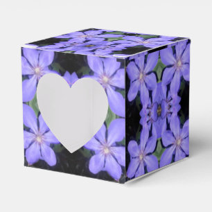 Ballotins Cé sarine