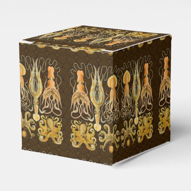 Ballotins Cephalopod poulpe calmar Nature marine (Verso)