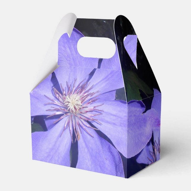 Ballotins Césarine (Verso)