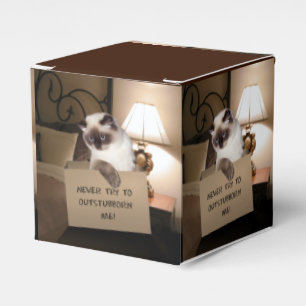 Ballotins Chat dans la boîte