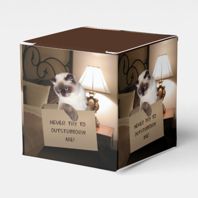 Ballotins Chat dans la boîte (Verso)