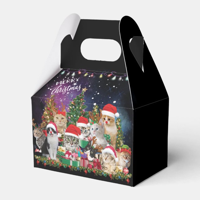 Ballotins Chats Joyeux Noël Lumière (Verso)