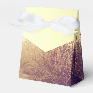 Ballotins Chemin d'accès de la voie d'accès de Sunrise Ballo