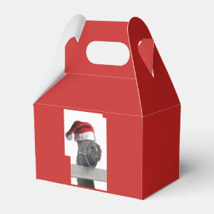 Ballotins Cheval de Noël Père Noël
