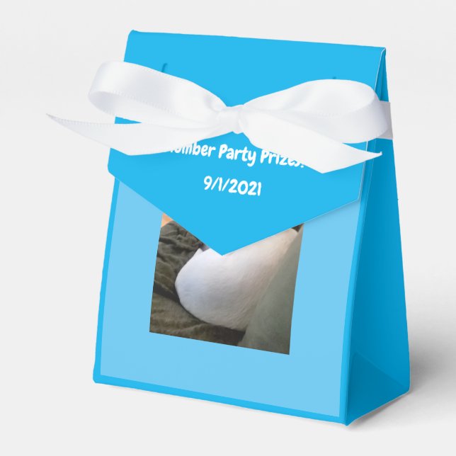 Ballotins Chien blanc mignon dormant Stwood Party Blue (Verso)