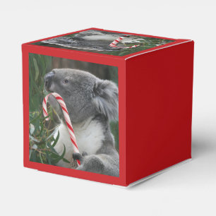 Ballotins Christmas Australie Koala Sucre de canne Ballotin