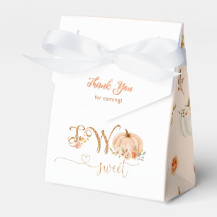 Ballotins Chute douce petit citrouille deux jolies fête d'an