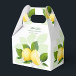 Ballotins Citrons Fruit Citron Botanique<br><div class="desc">Citrons avec des fleurs nichées dans des feuilles vertes panachées.</div>