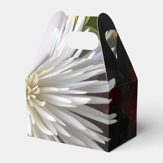 Ballotins Claricia (Verso)