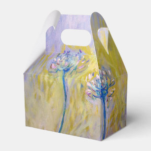 Ballotins Claude Monet - Agapanthus