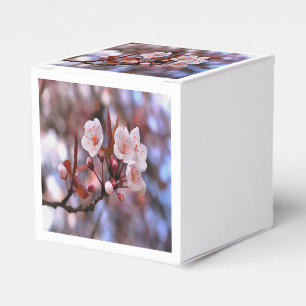 Ballotins Cluster de fleurs de cerisier avec un rose et un b