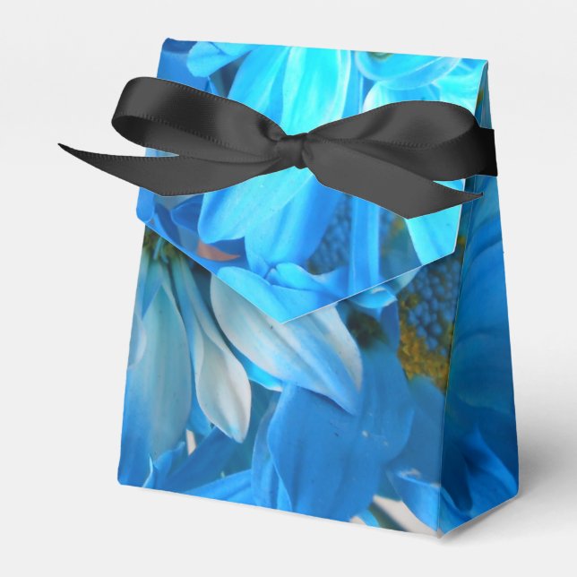 Ballotins Collaert (Verso)