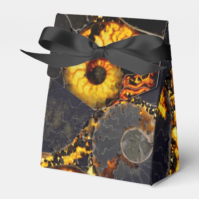 Ballotins Conception de coque Nautilus (Verso)