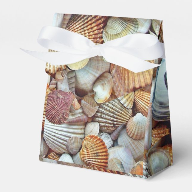 Ballotins Coquillages (Verso)