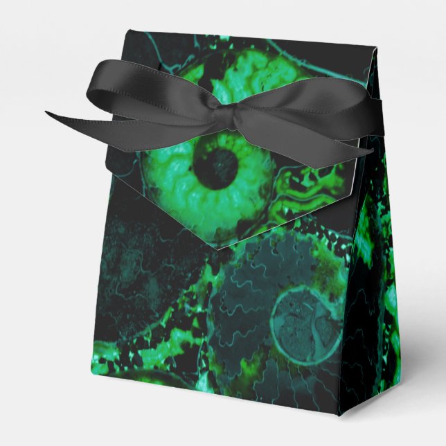 Ballotins coquille de nautile - design vert (Verso)