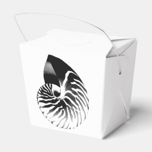Ballotins Coquille de Nautilus - noir, gris et blanc