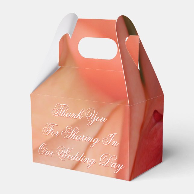 Ballotins Corail Et Pêche (Verso)