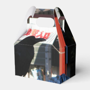 Ballotins Corneille japonaise