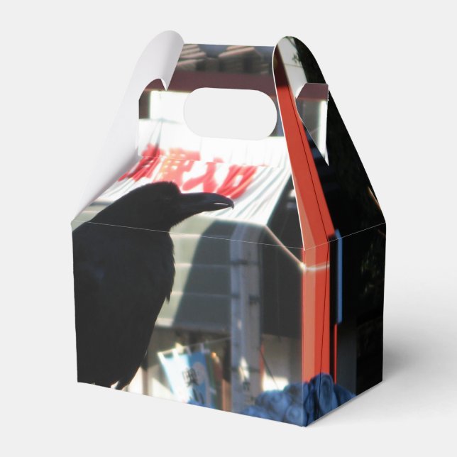 Ballotins Corneille japonaise (Verso)