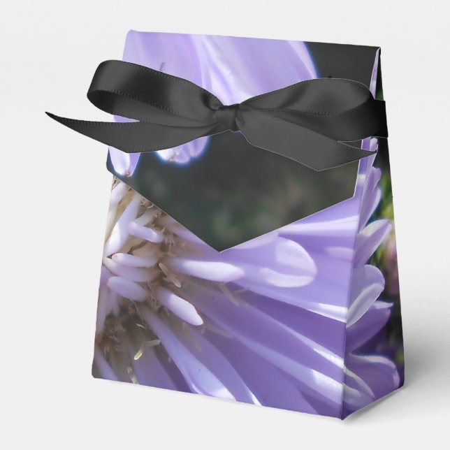 Ballotins Cyrène (Verso)