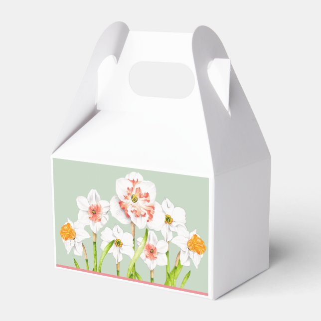 Ballotins Daffodiques sur un Ballotin Gable (Verso)