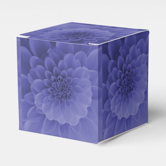 Ballotins Dahlia bleu (Verso)