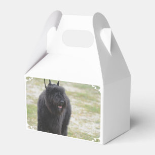 Ballotins DES Flandre de Bouviers