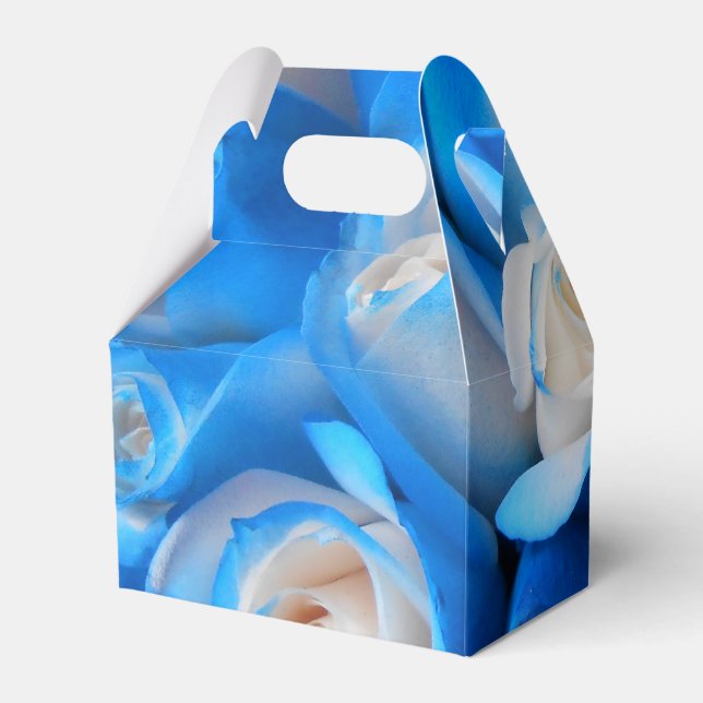 Ballotins Diemudis (Arrière)