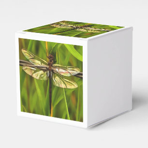 Ballotins Dragonfly Artistique En Brown Et Jaune Sur Vert