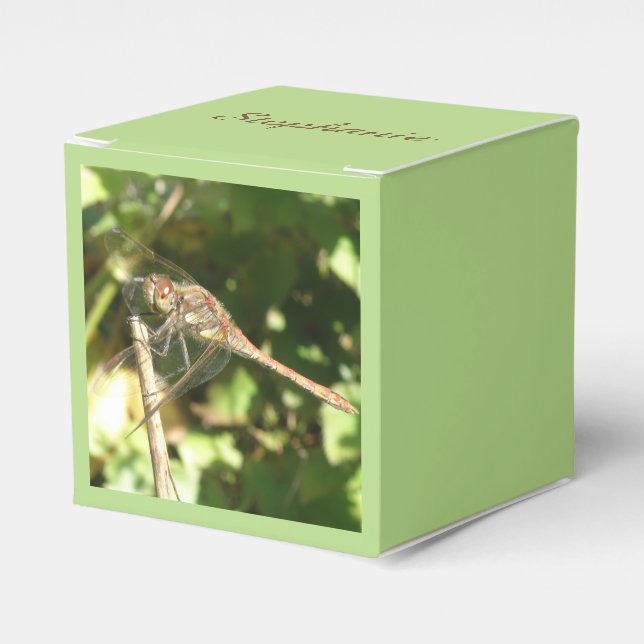 Ballotins Dragonfly sur un Ballotin de Twig (Verso)