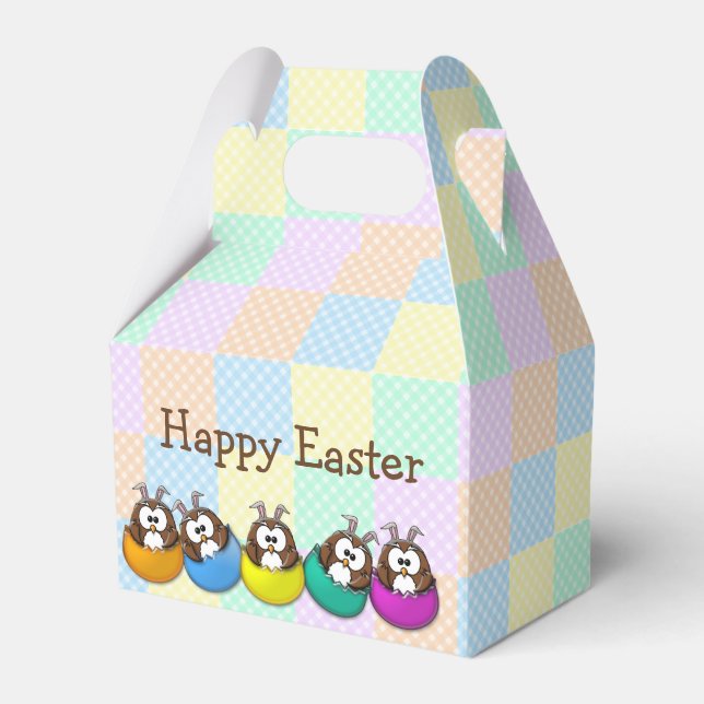 Ballotins Easter owl - rainbow (Verso)