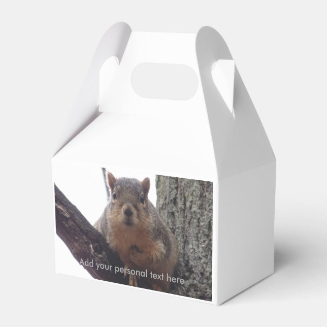 Ballotins Écureuil regardant votre boîte cadeau (Arrière)