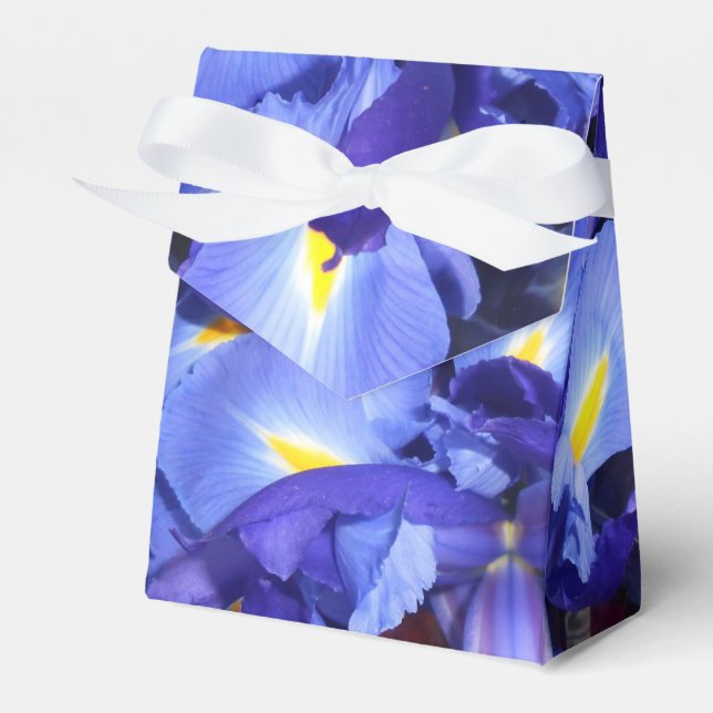 Ballotins Ermengarde (Verso)