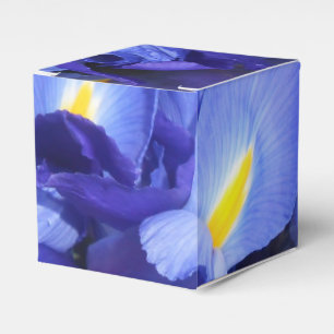 Ballotins Ermengarde