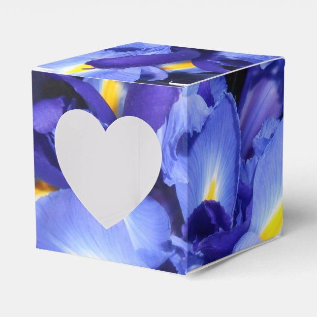 Ballotins Ermengarde (Verso)