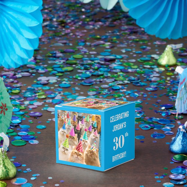 Ballotins Fête de chats (Fête)