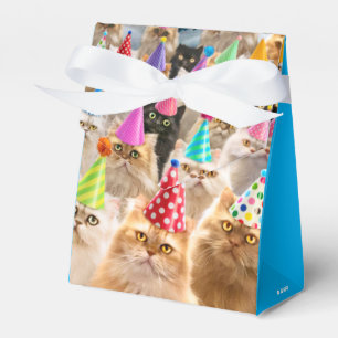 Ballotins Fête de chats