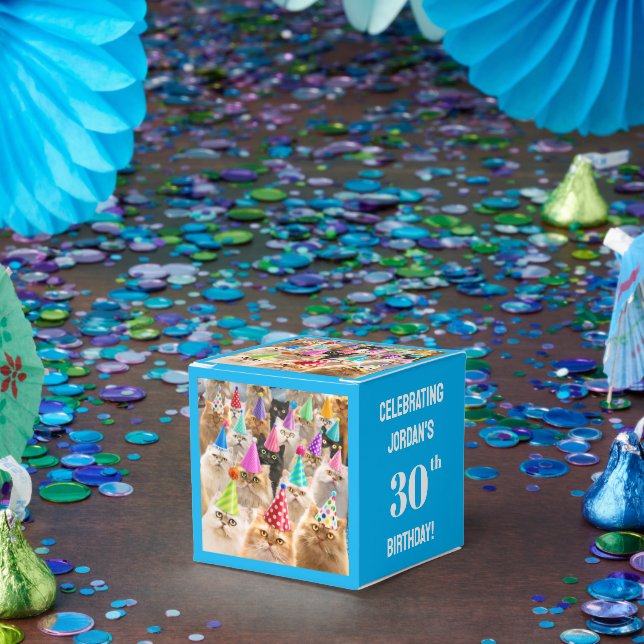 Ballotins Fête de chats (Fête)