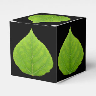 Ballotins Feuille d'Aspen vert #11