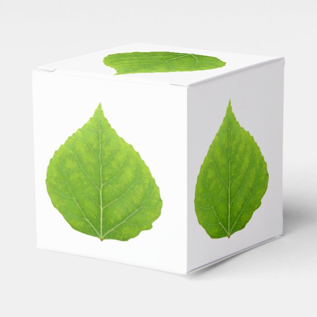 Ballotins Feuille d'Aspen vert #11 (Verso)