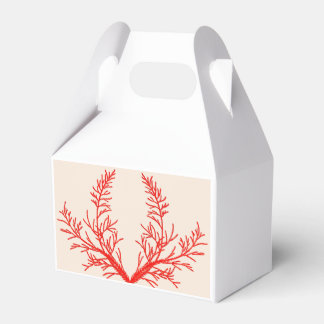 Ballotins Feuilles de cèdre sur une boîte à faveurs en pigno