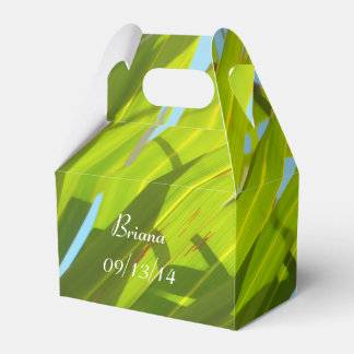Ballotins Feuilles verts, soleil et ciel bleu