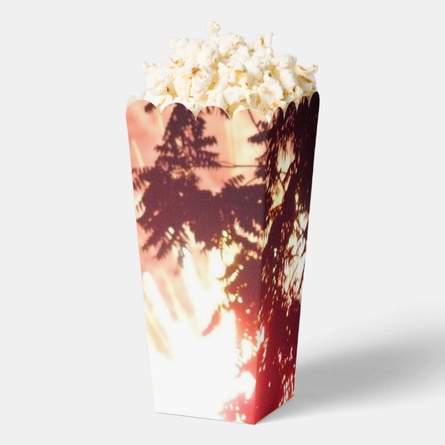 Ballotins Fireworks 12 boîtes à pop-corn (Sauté)