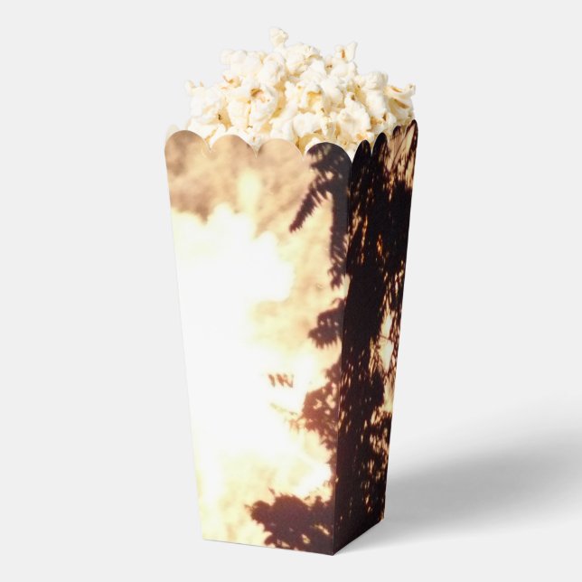 Ballotins Fireworks 15 boîtes à pop-corn (Sauté)