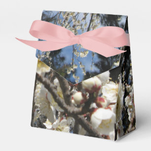 Ballotins Fleur de cerisier blanc / Sakura / サクラ(桜)