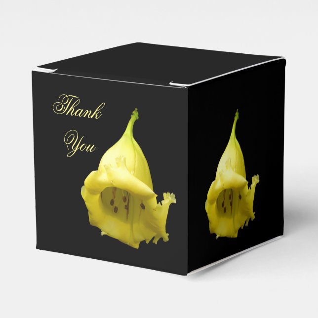 Ballotins Fleur tropicale jaune (Verso)